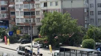 Kamyonetin kasasından yola saçılan meyve ve sebzeler, diğer sürücülerin yardımıyla toplandı