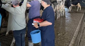 Keşan'da hastalıktan ari işletmeler denetlendi