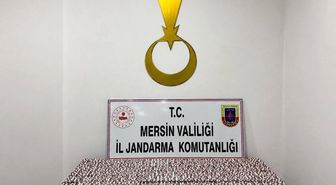 Mersin'de 7 bin 256 sentetik hap ele geçirildi, 1 tutuklama