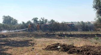 Balıkesir'de iki ayrı ilçede çıkan arazi yangınları kontrol altına alındı