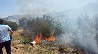Bodrum'da maki yangınında 1 dekar alan zarar gördü