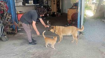 Gözleri görmeyen köpeğe 13 yıldır evladı gibi bakıyor