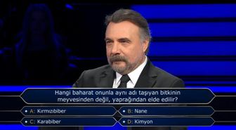 Hangi baharat onunla aynı adı taşıyan bitkinin meyvesinden değil, yaprağından elde edilir?