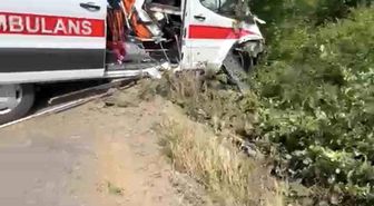 Hasta taşıyan ambulans yoldan çıkarak yeşillik alana savruldu