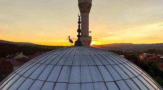 Leylekler gün batımını cami kubbesinde karşıladı, mest eden anlar havadan görüntülendi