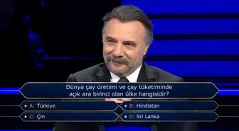 Martı hangi familyadandır?
