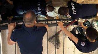 Merdiven boşluğuna sıkışan kedi merdiven ve fayans kırılarak kurtarıldı