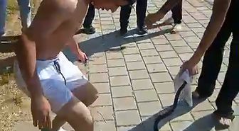 Nehirden çıkardıkları yılanın başını ezip, çakıyla keserek öldürdüler
