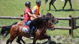 Ordu'da Geleneksel Rahvan At Yarışları düzenlendi