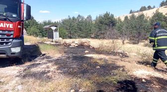 Ormanlık alandaki yangın söndürüldü