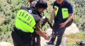Siirt'te mahsur kalan keçi için seferber oldular: ERKUT ekipleri 8 günlük esareti bitirdi