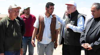 TZOB Başkanı Bayraktar: Sultanhanı'nda 25 bin dekar alan doludan zarar gördü