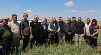 TZOB Genel Başkanı Bayraktar: Buğday rekoltesinin 23 milyon tona yaklaşmasını bekliyoruz