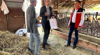 Uşak Tarım ve Orman Müdürlüğü ekipleri sahada incelemelerde bulundu