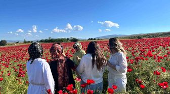 Elazığ'da oluşan doğal gelincik tarlasına vatandaşlar akın etti