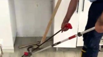 Eve giren yılanı itfaiye ekipleri çıkardı