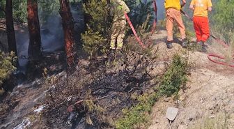 Hatay'da ormanlık alanda çıkan yangın söndürüldü