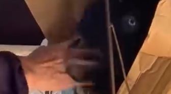 Keçisiyle dolmuşa bindi, yol boyunca başını okşadı