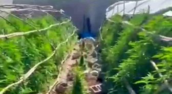 Seraları uyuşturucu üretim tesisine çeviren şahıslara operasyon