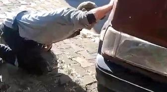Tokat'ta aracın motor kısmına giren yılanı itfaiye ekipleri kürekle yakaladı