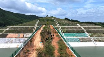 Albüm: Çin'in Guangxi Bölgesindeki Ekolojik Köprü, Yaban Hayvanları İçin Doğal Geçit İşlevi Görüyor