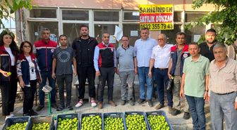 Aydın'da ilek pazarı denetimleri aralıksız sürüyor