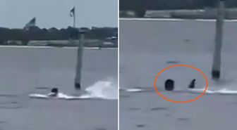 Donanma personeli öğle arasında denize girdi, köpekbalığının saldırısına uğradı