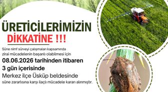 Kırklareli'nde süne alarmı: Üreticilere 3 günlük ilaçlama çağrısında bulunuldu