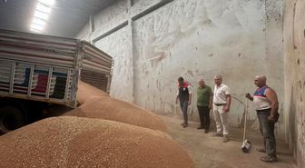 Koçarlı'da ilk hububat alımı gerçekleştirildi
