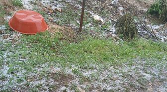 Manisa'da dolu yağışı tarım alanlarına zarar verdi