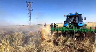 Şanlıurfa'da onlarca dönümlük arpa ekili tarla kül oldu