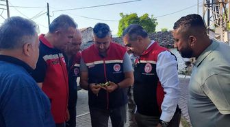 Aydın'da ilekleme sezonu yakından takip ediliyor