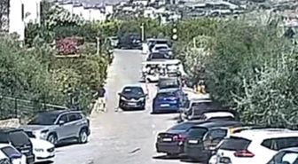 Bodrum'daki köpek davasında sanık beraat etti