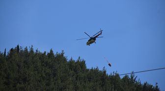 Manisa'da çıkan orman yangını kontrol altına alındı