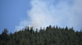 Manisa'da orman yangını çıktı