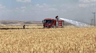 Mardin'de yaklaşık 300 dönüm ekili alan alevlere teslim oldu