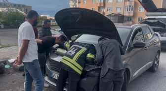 Otomobilin motor bölümüne sıkışan 2 yavru kedi kurtarıldı