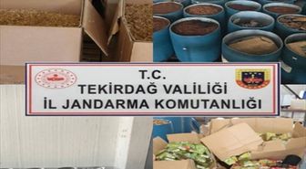Tekirdağ'da 23 ton 900 kilogram kaçak tütün ele geçirildi