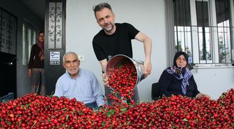 Türkiye'de kiraz mevsimi; Avrupa'ya ihracat başladı