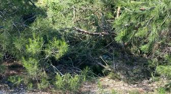 Uçuruma yuvarlanan traktör sürücüsü hayatını kaybetti