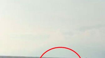 Akdeniz açıklarında balıkçı teknesini selamlayan yunuslar görüntülendi