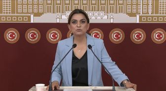 DEM Parti'li Koçyiğit: Barışın hukuksal bir güvenceye ihtiyacı var
