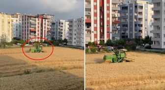 Apartmanların gölgesinde hasat! Arazisini isteyen müteahhitlere tek cümlelik yanıt veriyor