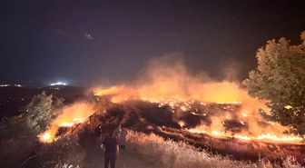 Hatay'da anızda çıkıp zeytin bahçelerine sıçrayan yangın kontrol altına alındı