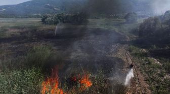 Kocaeli'de sazlıkta çıkan yangın kontrol altına alındı