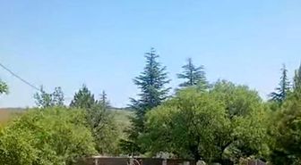 Koruma altındaki dağ keçileri Harput mezarlıklarında görüntülendi
