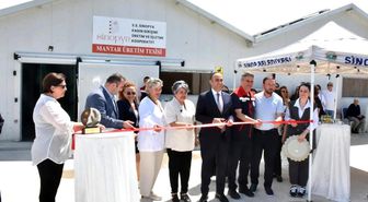 Sinop'ta istiridye mantarı ve dikey tarım tesisi açıldı