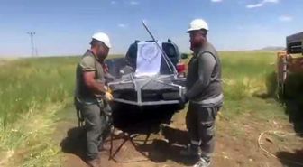 Şırnak'ta göç yolundaki leyleklere güvenli yuva