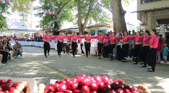Tekirdağ'da '60. Uluslararası Kiraz Festivali' başladı