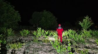 Afyonkarahisar'da ailesinin kayıp başvurusunda bulunduğu kişi aranıyor